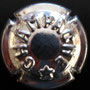 Marque : GENERIQUE  N° Lambert : 259 Couleur : Acier - petite étoile Description : Mention Champagne et étoile   Ref perso : 