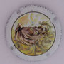 Marque : JANISSON - BARANDON & fils N° Lambert : 46d Couleur : Polychrome Description : L'huitre Emplacement : 