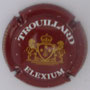 Marque : TROUILLARD N° Lambert : 8 Couleur : Fond bordeaux foncé Description : Cuvée ELEXIUM  Emplacement : 