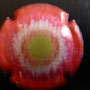 Marque : GENERIQUE  N° Lambert : 867a Couleur : Polychrome Description : Les fleurs -   Emplacement : 