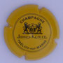 Marque : KOHLER James N° Lambert : 10 Couleur : Jaune et noir Description : Blason soutenu de 2 lions - nom de la marque  Emplacement :