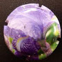 Marque : GENERIQUE  N° Lambert : 648i Couleur : Polychrome Description : Iris bleu  Emplacement : 