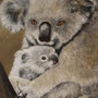 Koala in Love - 80cmx60cm (verkauft)