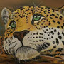 Leopard - Format: 60cmx80cm 