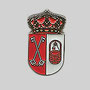 POZUELO