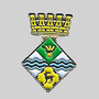 RIUDARENES (ACTUAL)