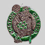 BOSTON CELTIS