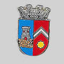 TORLENGUA