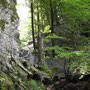 Steiganlage, Naturpark Ötscher Tormäuer