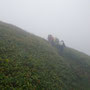山頂に向かって、霧の稜線を歩きました。