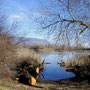 Wanderungen an der Aare und Emme im Mittelland