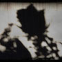 © [asp]   spring