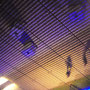 ©[asp]   lentos kunstmuseum linz
