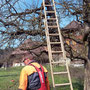 Roland mit Akuschere Ranflühmatte Frühling 2014