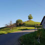 Linglihoger Frühling 2018