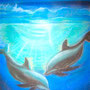 my dolphins