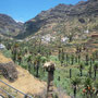 Valle Grand Rey à La Gomera