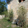 le jardin