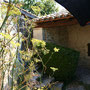 le jardin