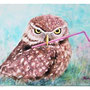 Angry Bird - watercolour on Yupo - exhibited in Finland - SOLD