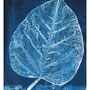 iI think you in winter / Muistelen sinua talvella / Ich denke an dich im Winter  SHOP 