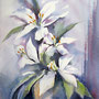 White lilies / Valkoiset liljat / Weisse Lilien - watercolour 