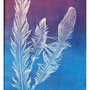 Featherlight / Höyhenenkevyesti / Federleicht - SOLD 