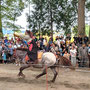 土師神社　流鏑馬