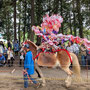 土師神社　流鏑馬