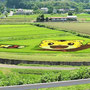 「しまじろう」　令和４年（２０２２年）
