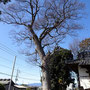 上栗須赤城神社