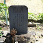 崇近寺