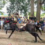 土師神社　流鏑馬