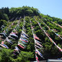 神流町・鯉のぼり祭り２０２６