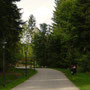 Ambiance des allées des Trois Forêts