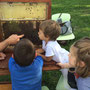 Visita apiario bimbi Homescooling di Cremona- settembre 2017
