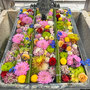 花を敷き詰めた花手水①（柳谷観音 楊谷寺）