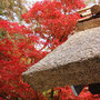 永源寺のヨシ葺き屋根