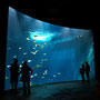 Stralsund Oceaneum