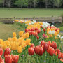2025年4月 北総花の丘公園