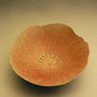 DAVID BROKENSHIRE, NZ, TINY BOWL, PORCELAIN, TISSUE THIN PINCHED POT, SPRAYED SALMON COLORED  MATTE  GLAZE, SIGNED,   7cmH x 12 cmD -  #DB3R  $