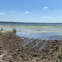Eine Pferdetränke am Arendsee. Hier wurden Reittouren um den See angeboten.
