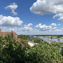 Vom Burgberg in Arneburg hatte ich einen traumhaften Blick auf die Elbe und die Elbauen.