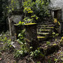 Und immer wieder wunderschöne Lost Places