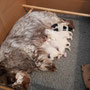 1 week -  May 16th may: 5 girls and Maddie