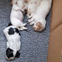 3 weeks - 30th May: 5 girls