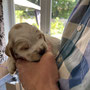 3 weeks: visit to see the pups - this is Elsie