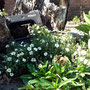 garms und gar gartengestaltung
