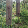  garms und gar gartengestaltung 
