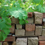  garms und gar gartengestaltung 